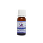 Indulge the body Lavender Essential Oil 10ml