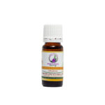 Indulge the body Orange Essential Oil 10ml